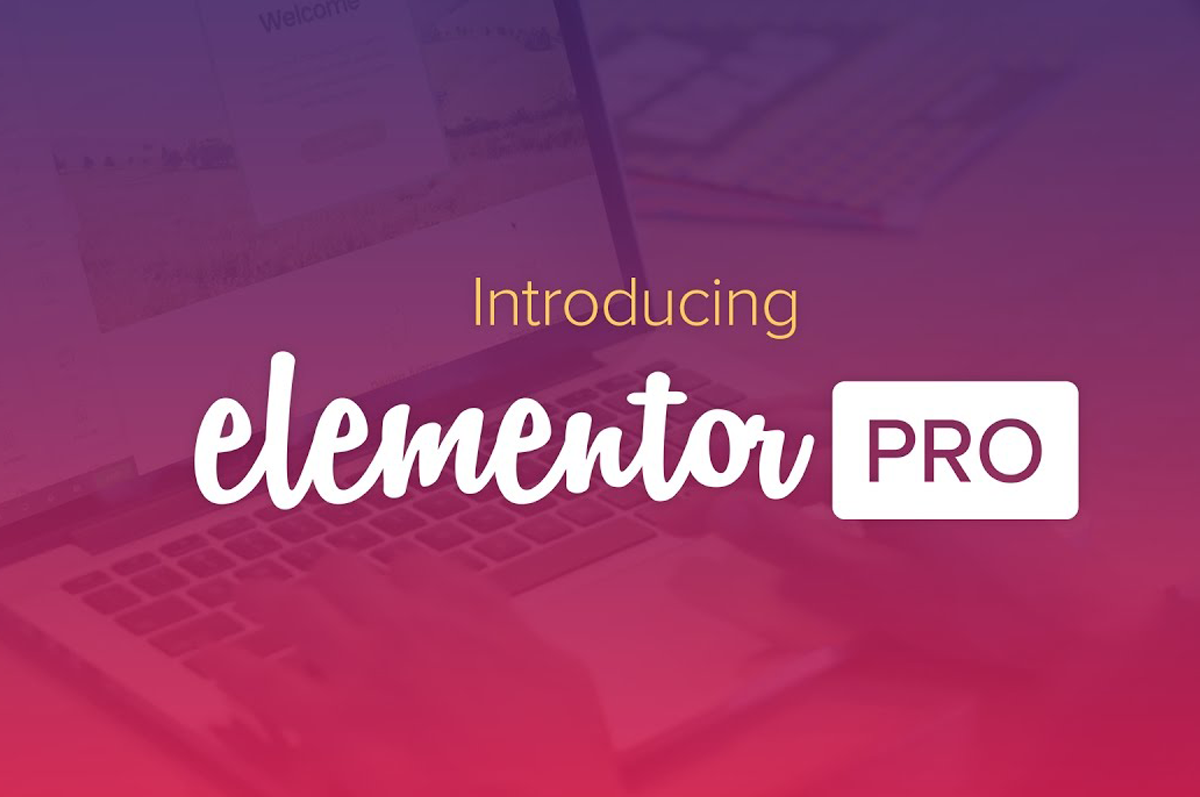 Elementor Pro