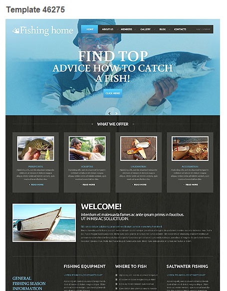 WordPress Theme 46275