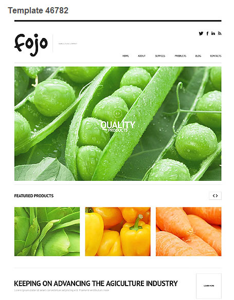 WordPress Theme 46782