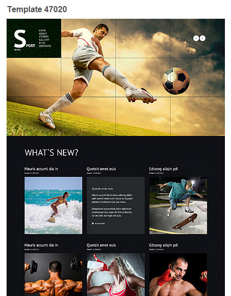 WordPress Theme 47020