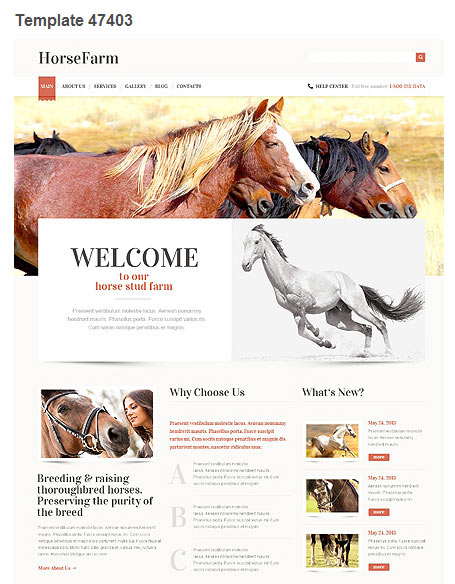WordPress Theme 47403