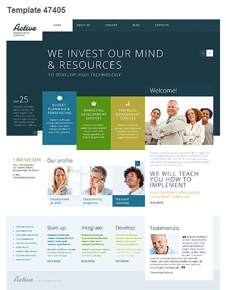 WordPress Theme 47405