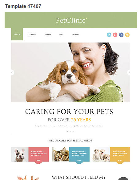 WordPress Theme 47407